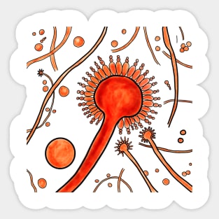 Aspergillus fungi Sticker